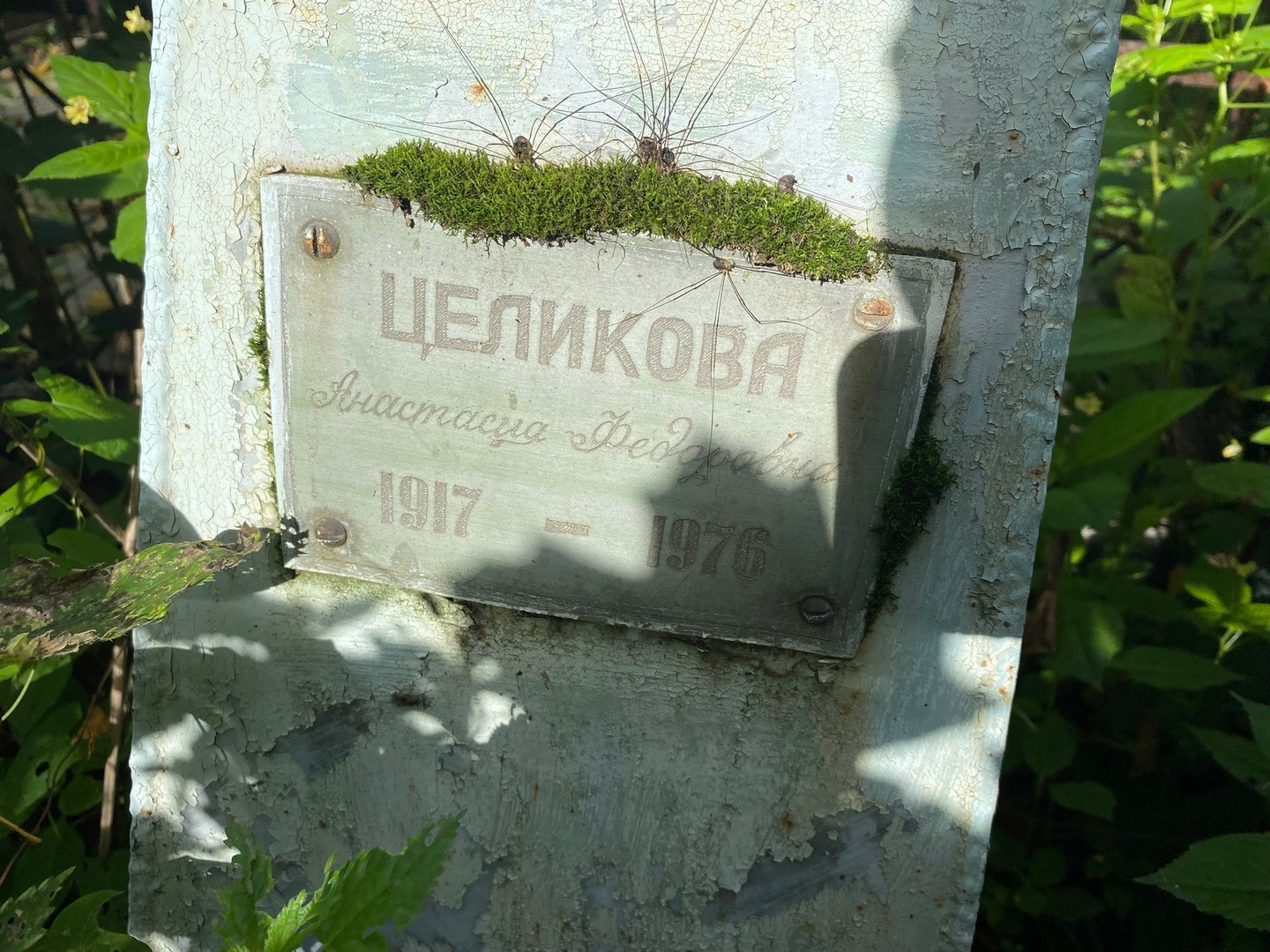 Целикова Анастасия Федоровна