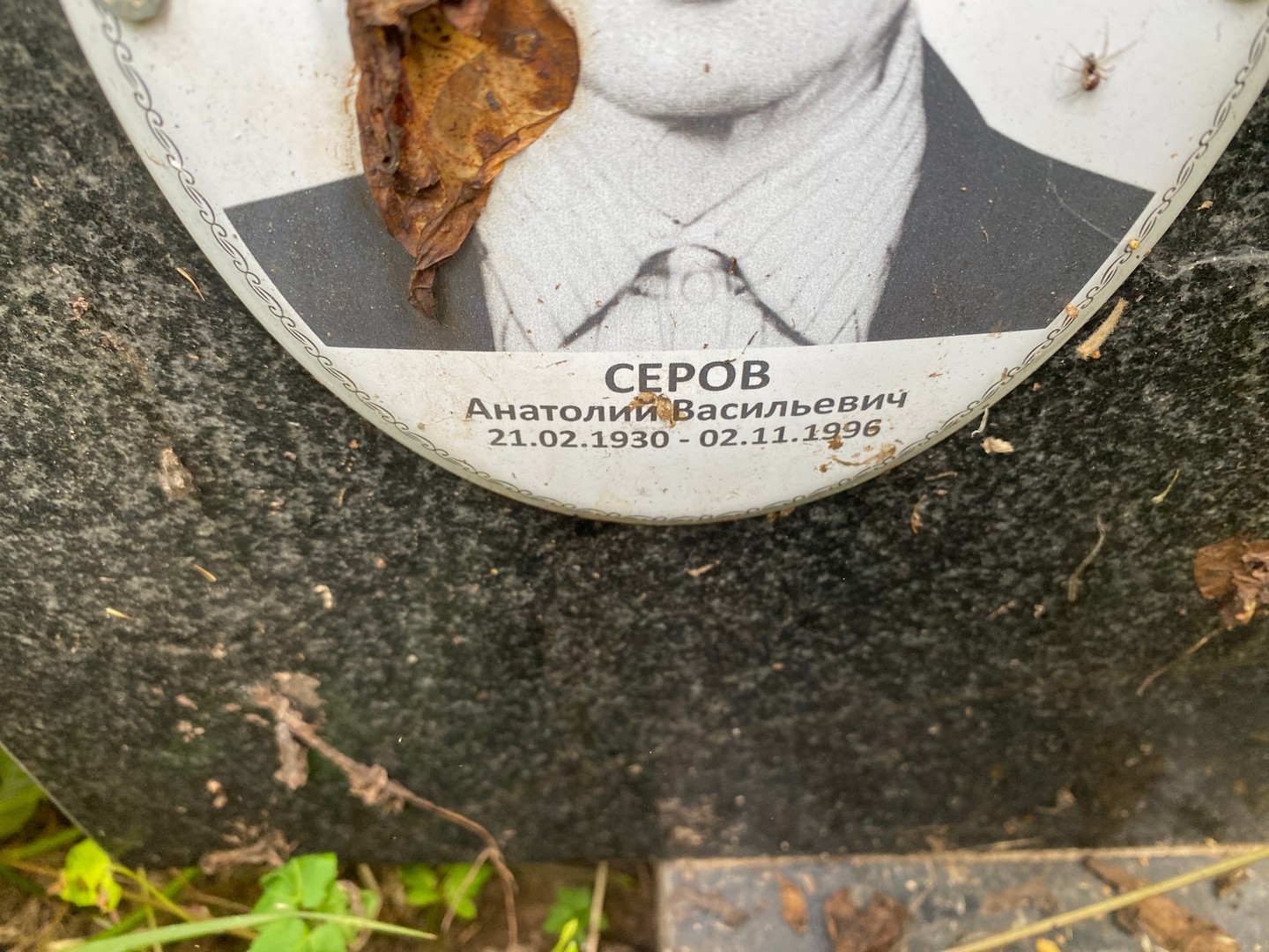 Серов