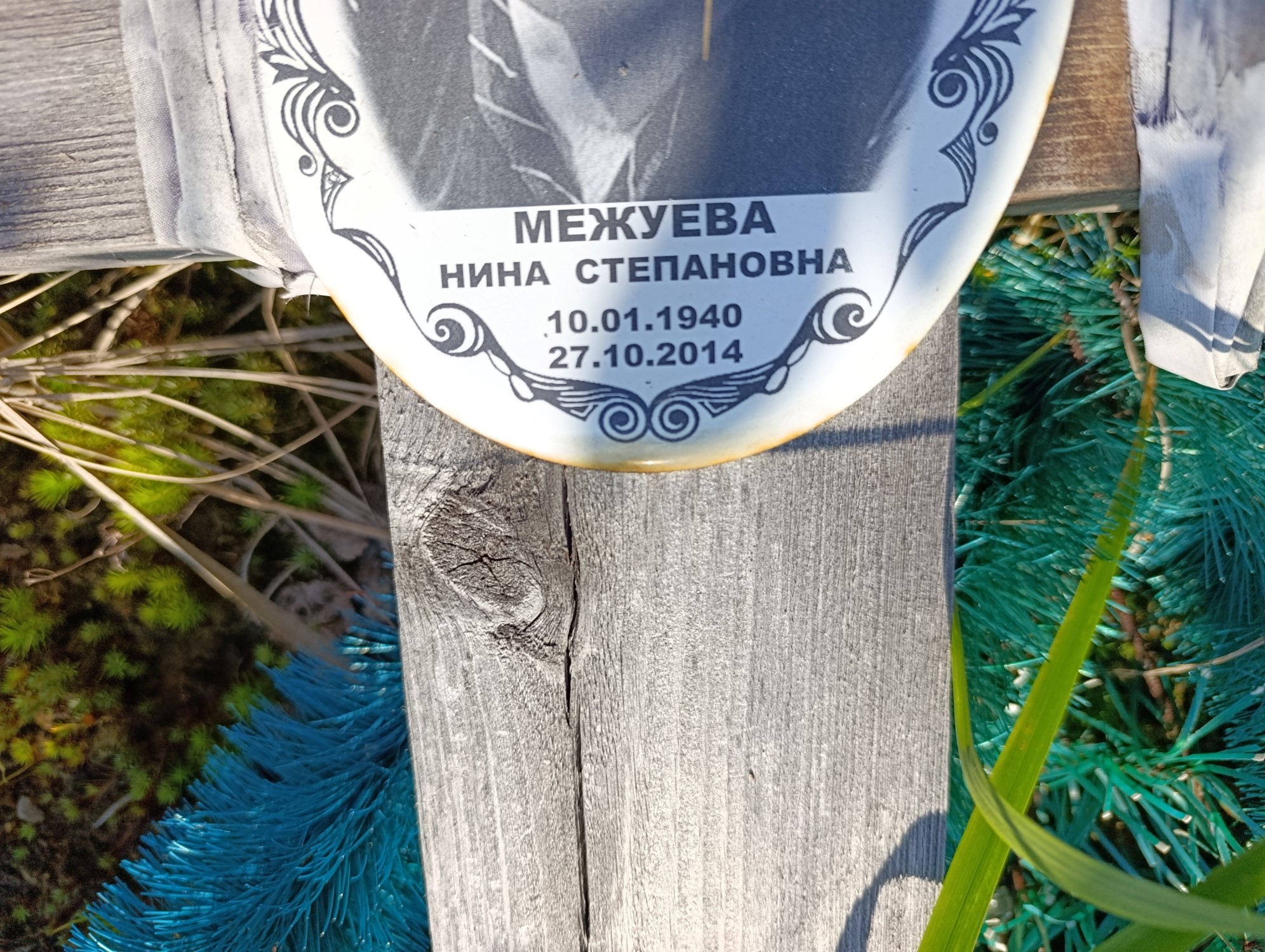 Межуева Нина Степановна