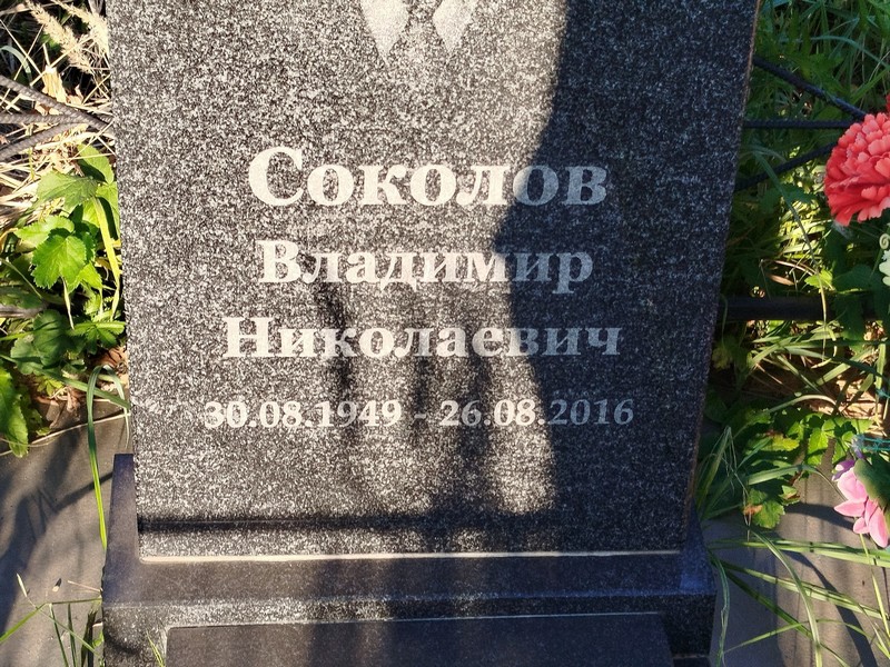Соколов