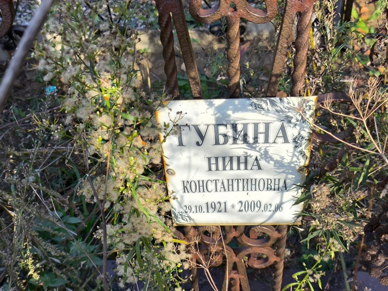 Губина