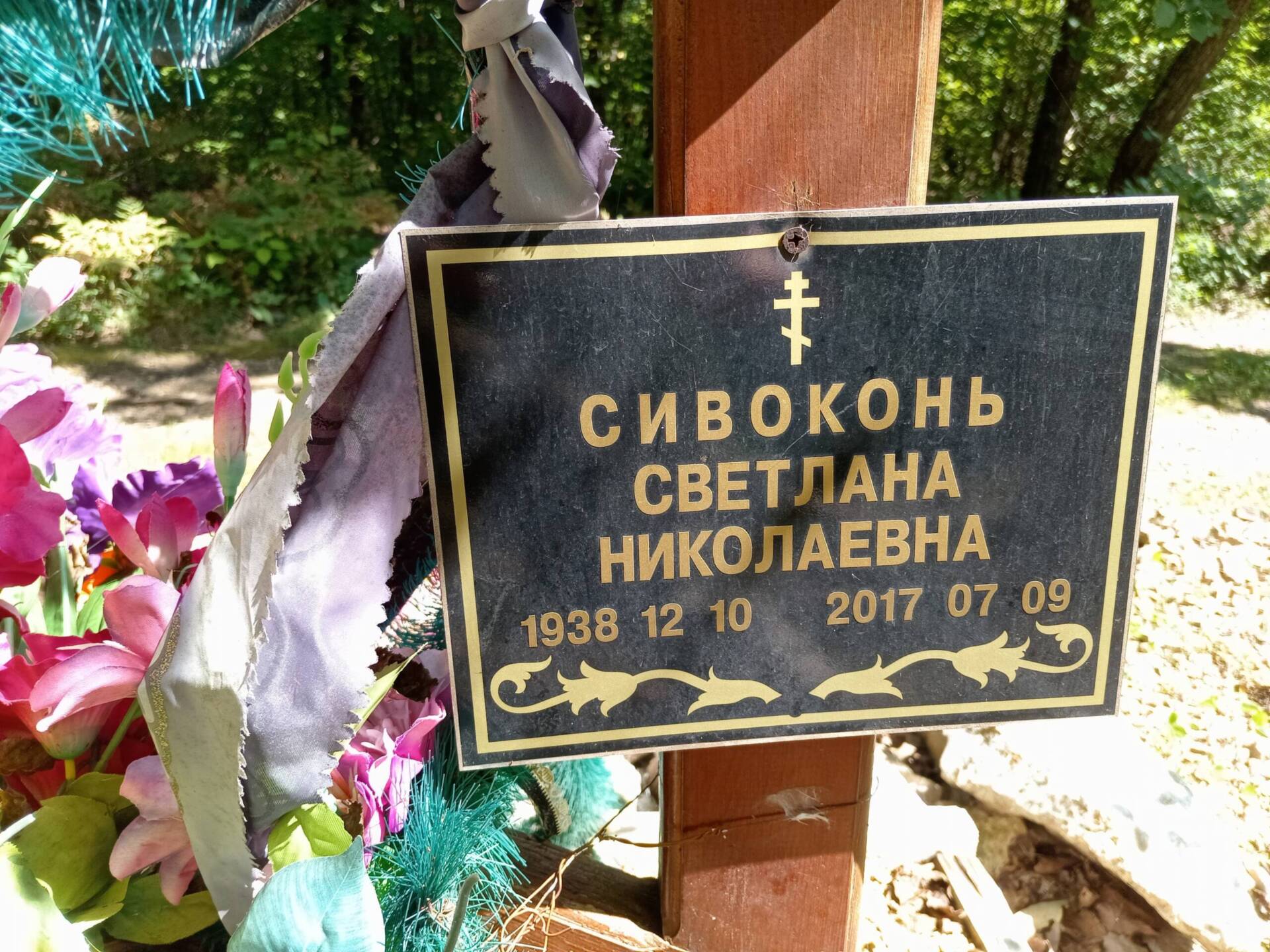 Сивоконь Светлана Николаевна