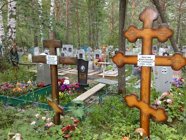 Липухина Пелагея Васильевна