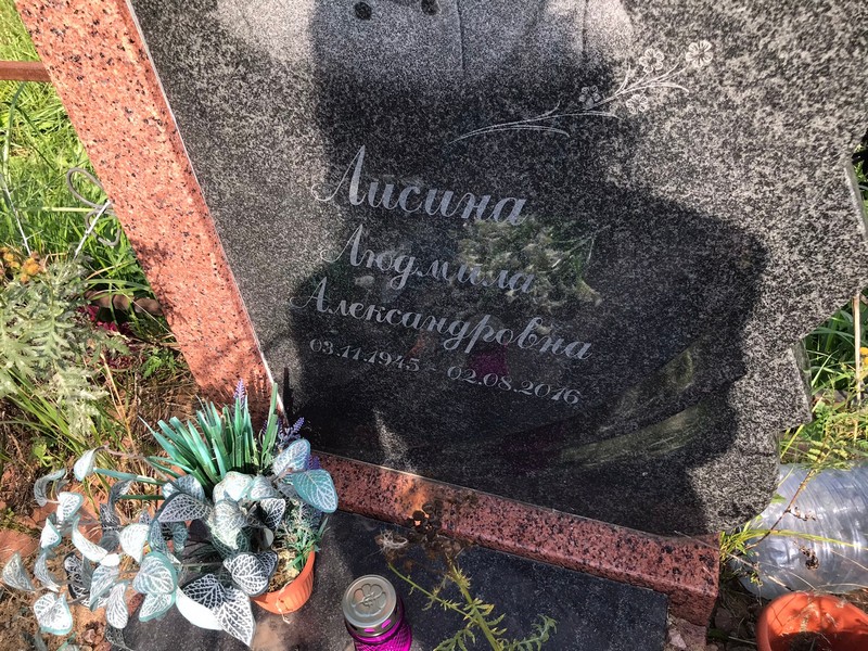 Лисина