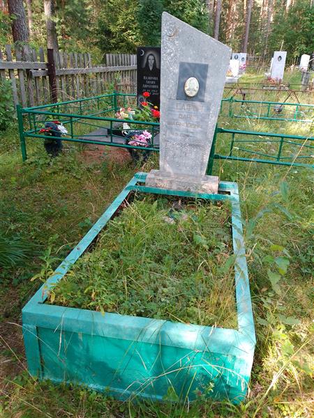 Сафин Варис Шарипович