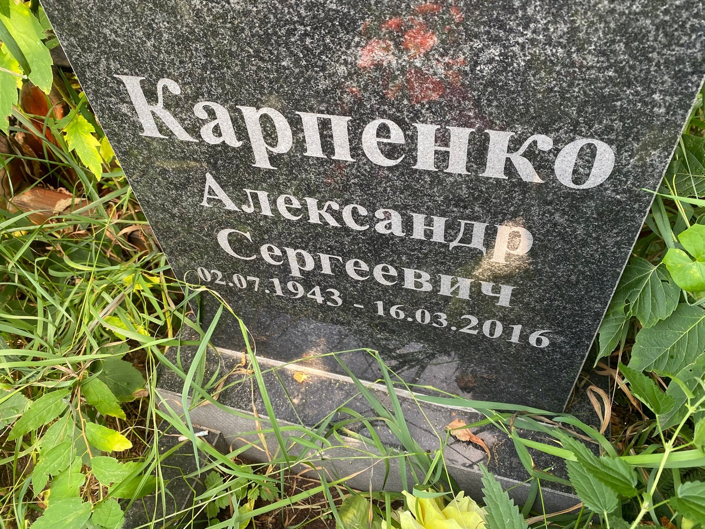 Карпенко