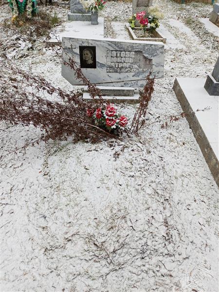 Зотова Любовь Петровна