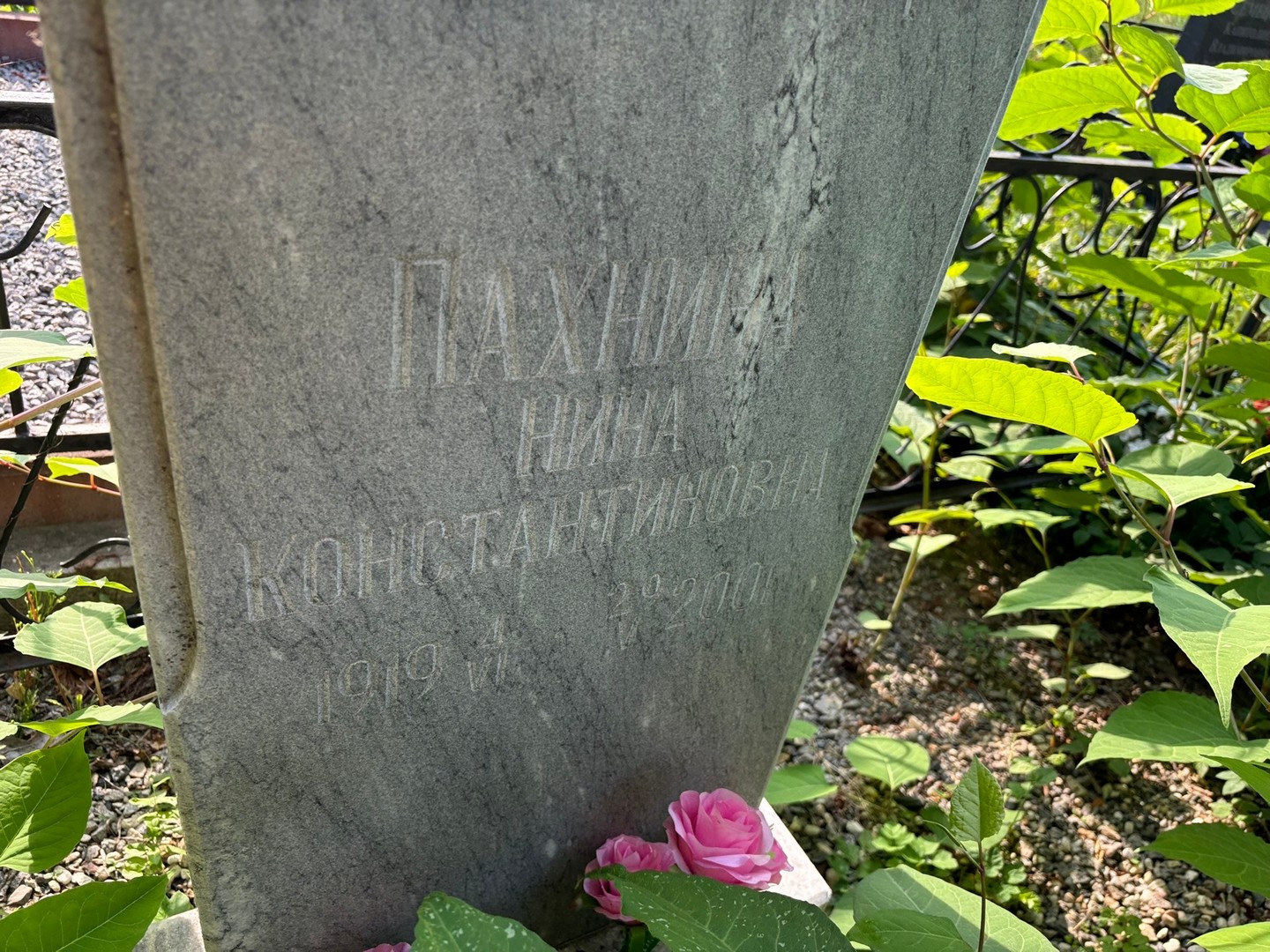 Пахнина