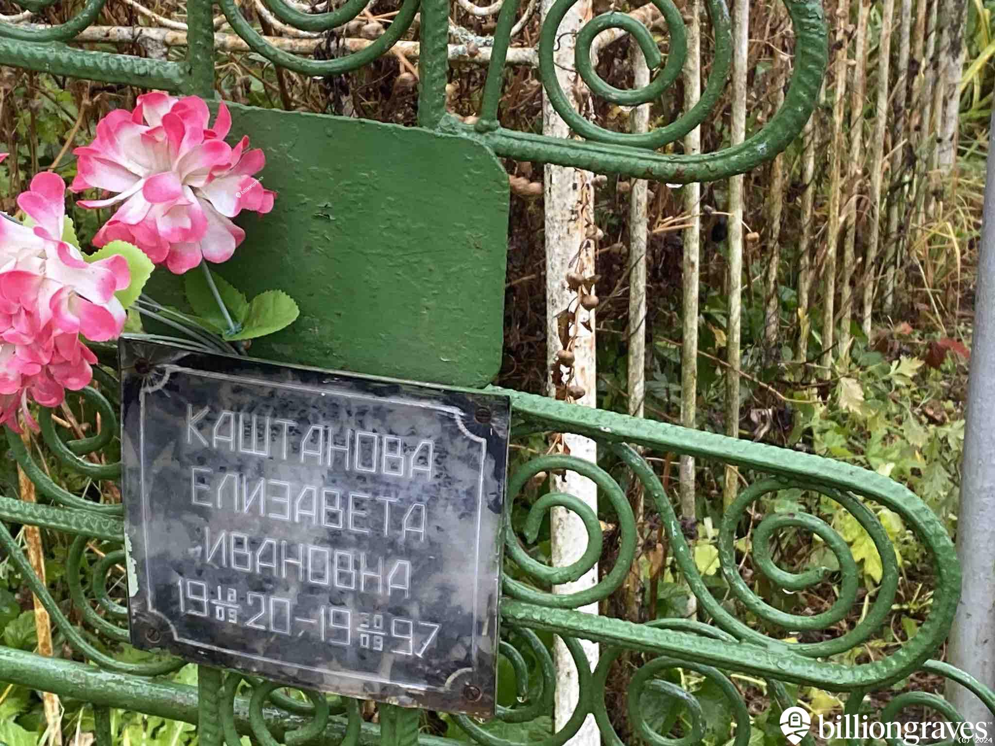 Каштанова Елизавета Ивановна