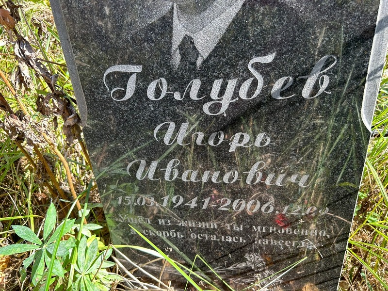 Голубев