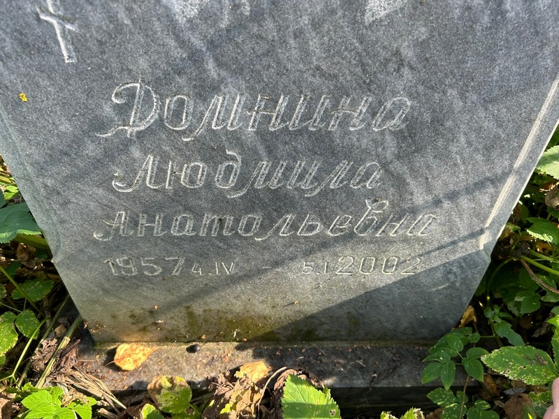 Домнина