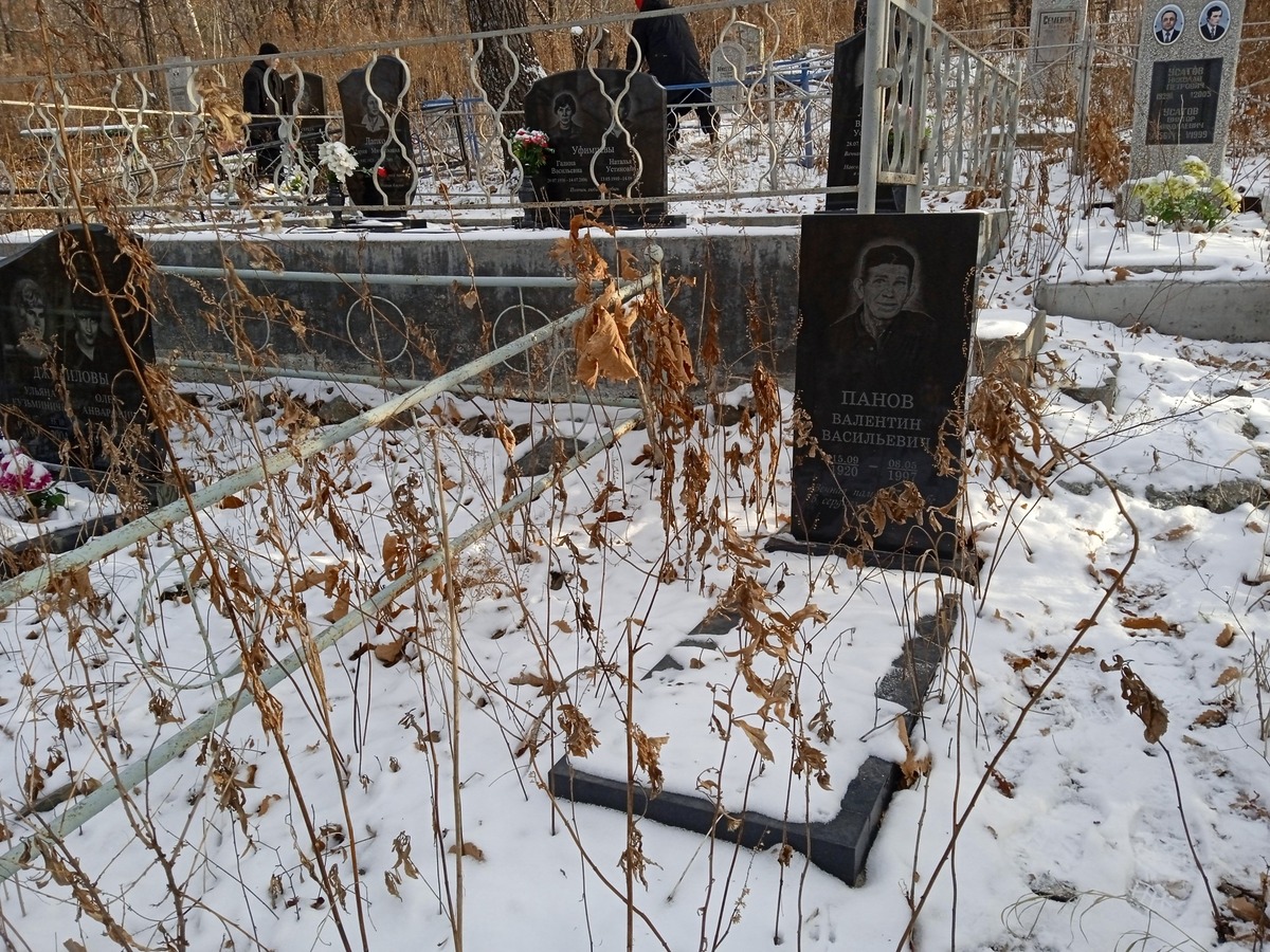 Панов Валентин Васильевич