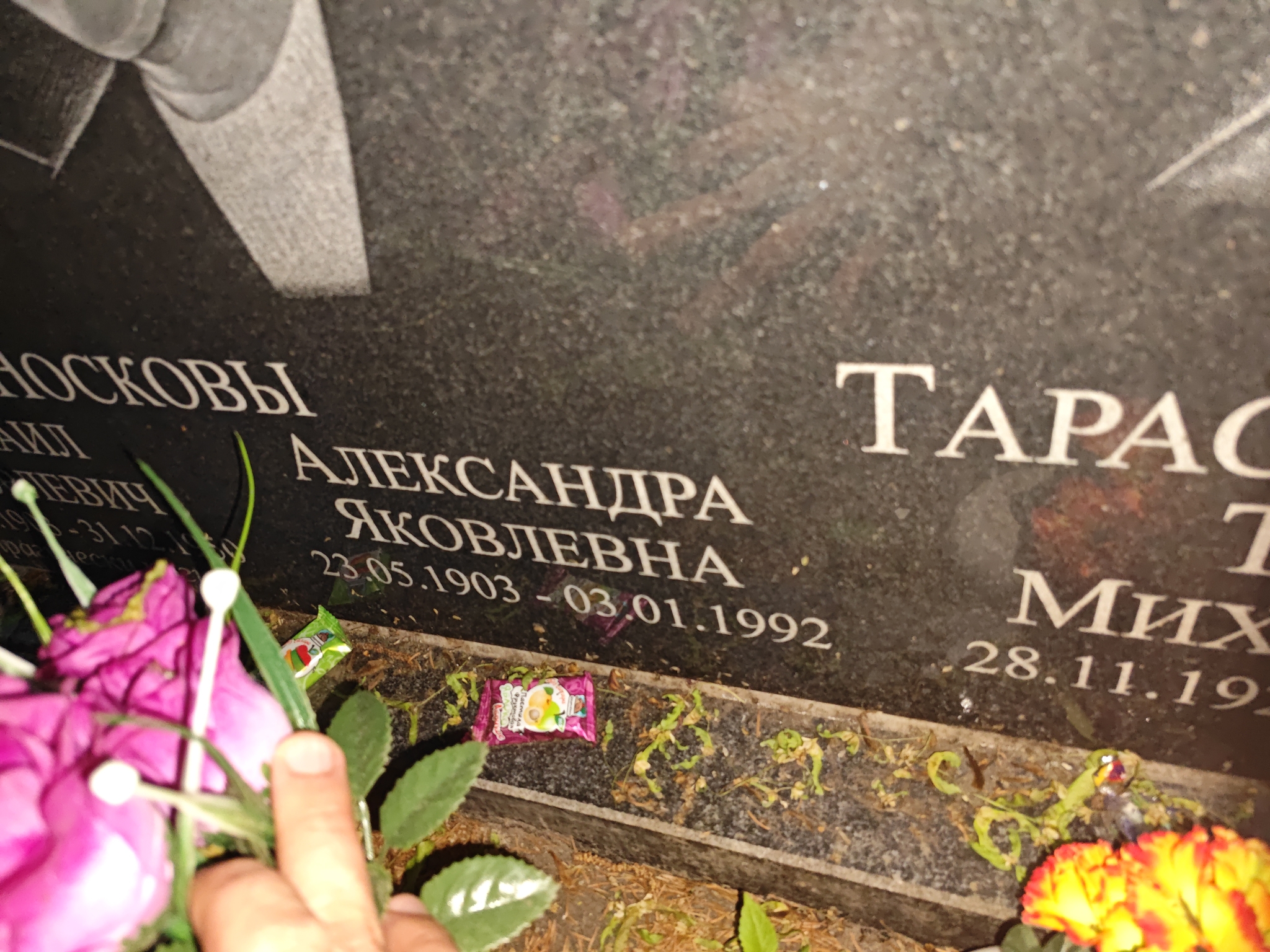 Носкова Александра Яковлевна