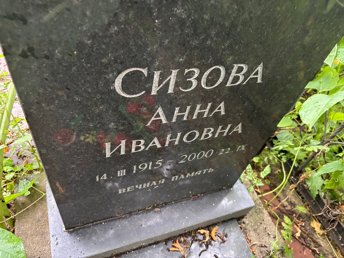 Сизова