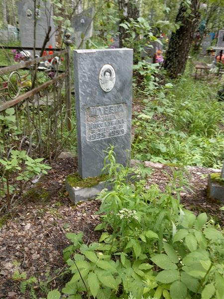 Шлеева Анна Николаевна
