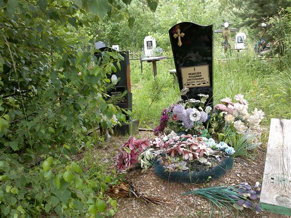 Медведев Анатолий Васильевич