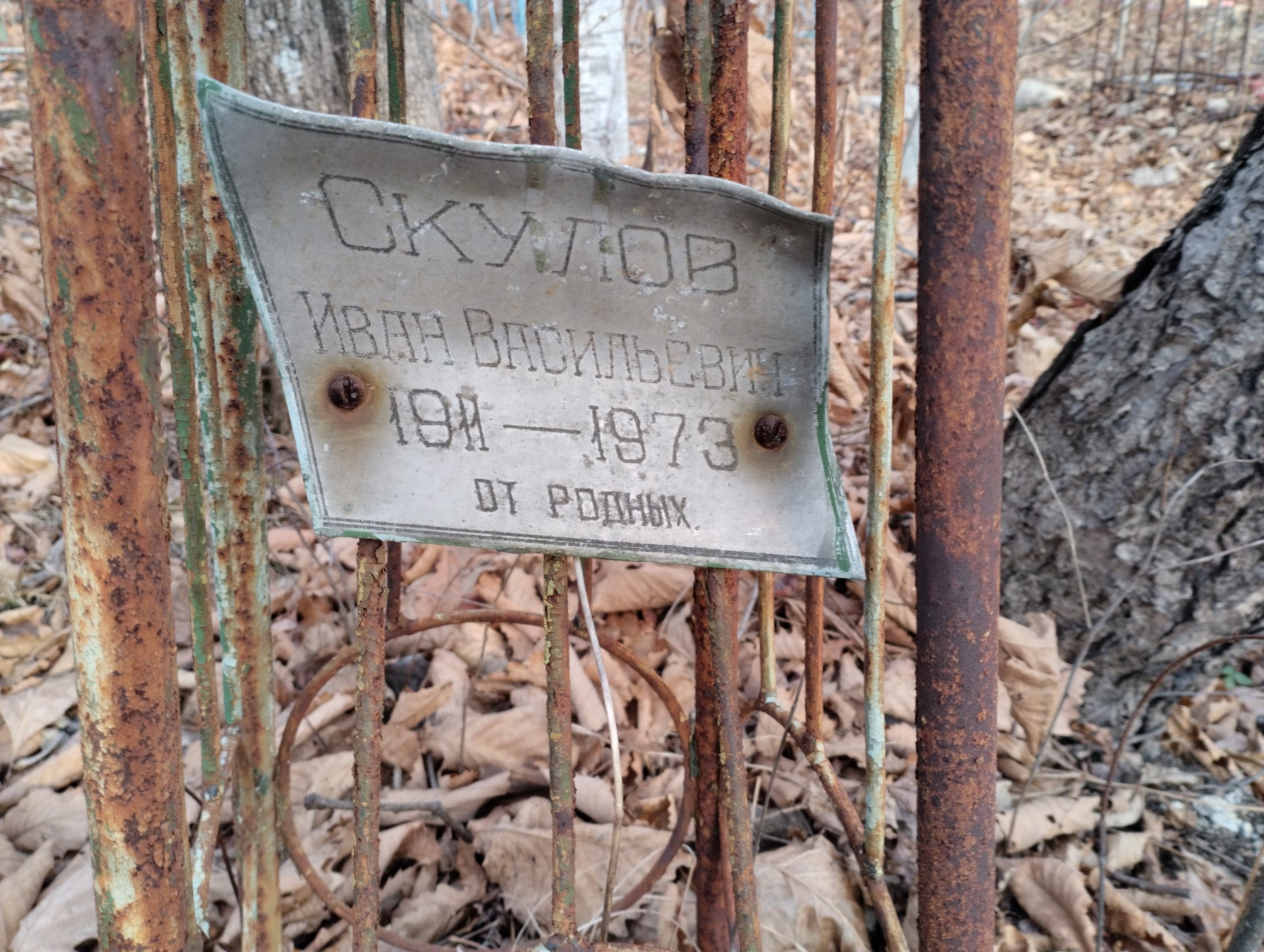 Скулов Иван Васильевич