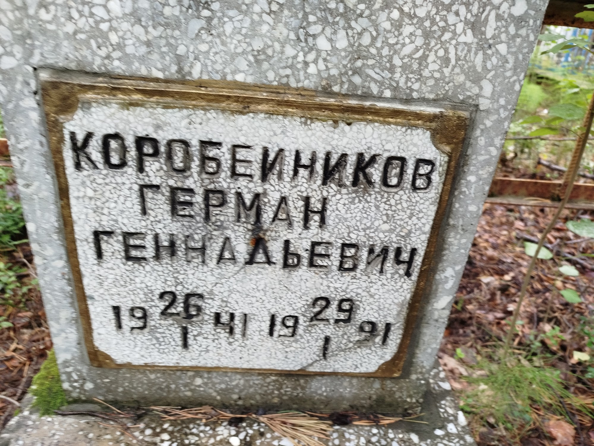 Коробейников Герман Геннадьевич