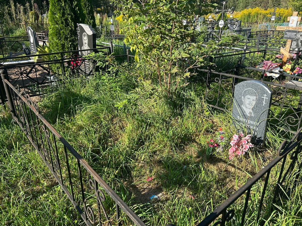 Дмитриев Александр Сергеевич