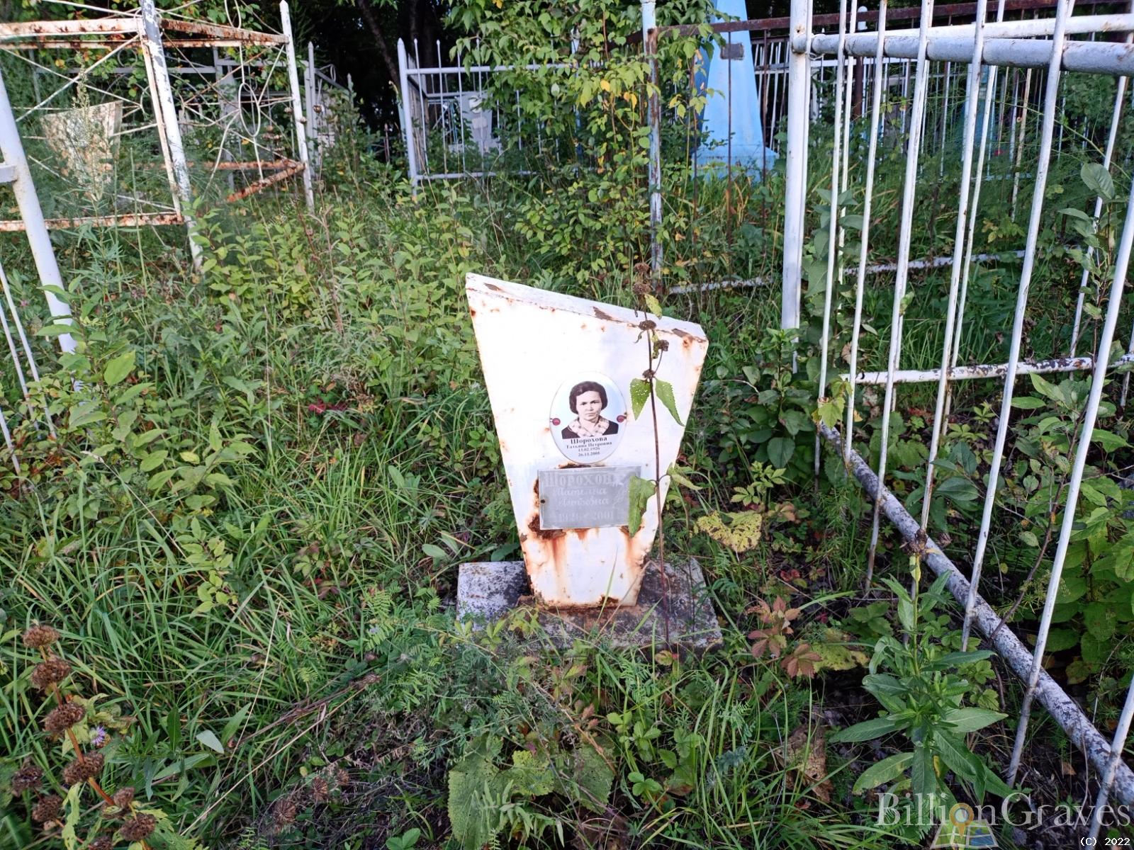 Шорохова Татьяна Петровна