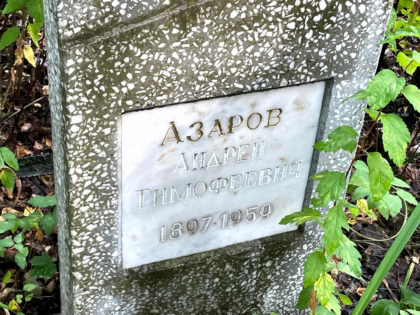 Азаров