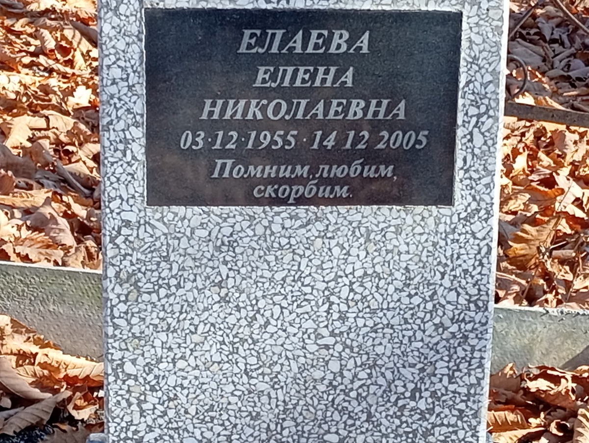 Елаева Елена Николаевна