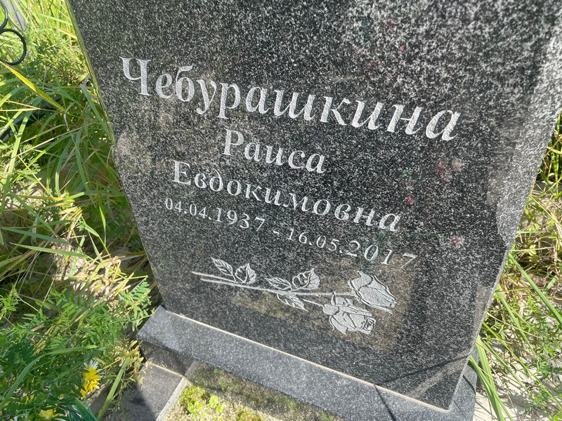 Чебурашкина