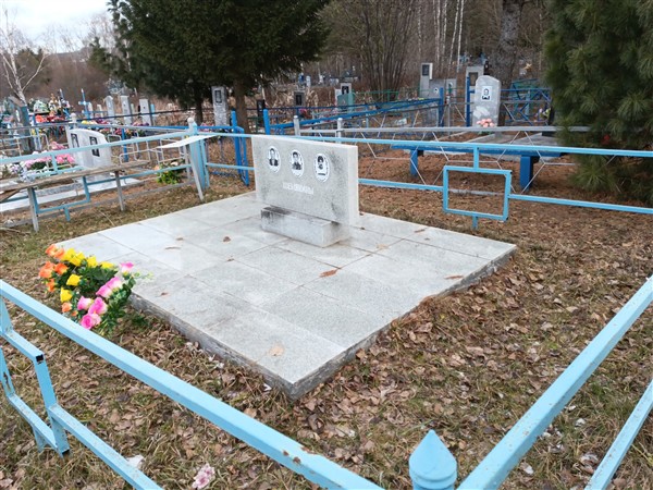 Шемякин Владимир Николаевич