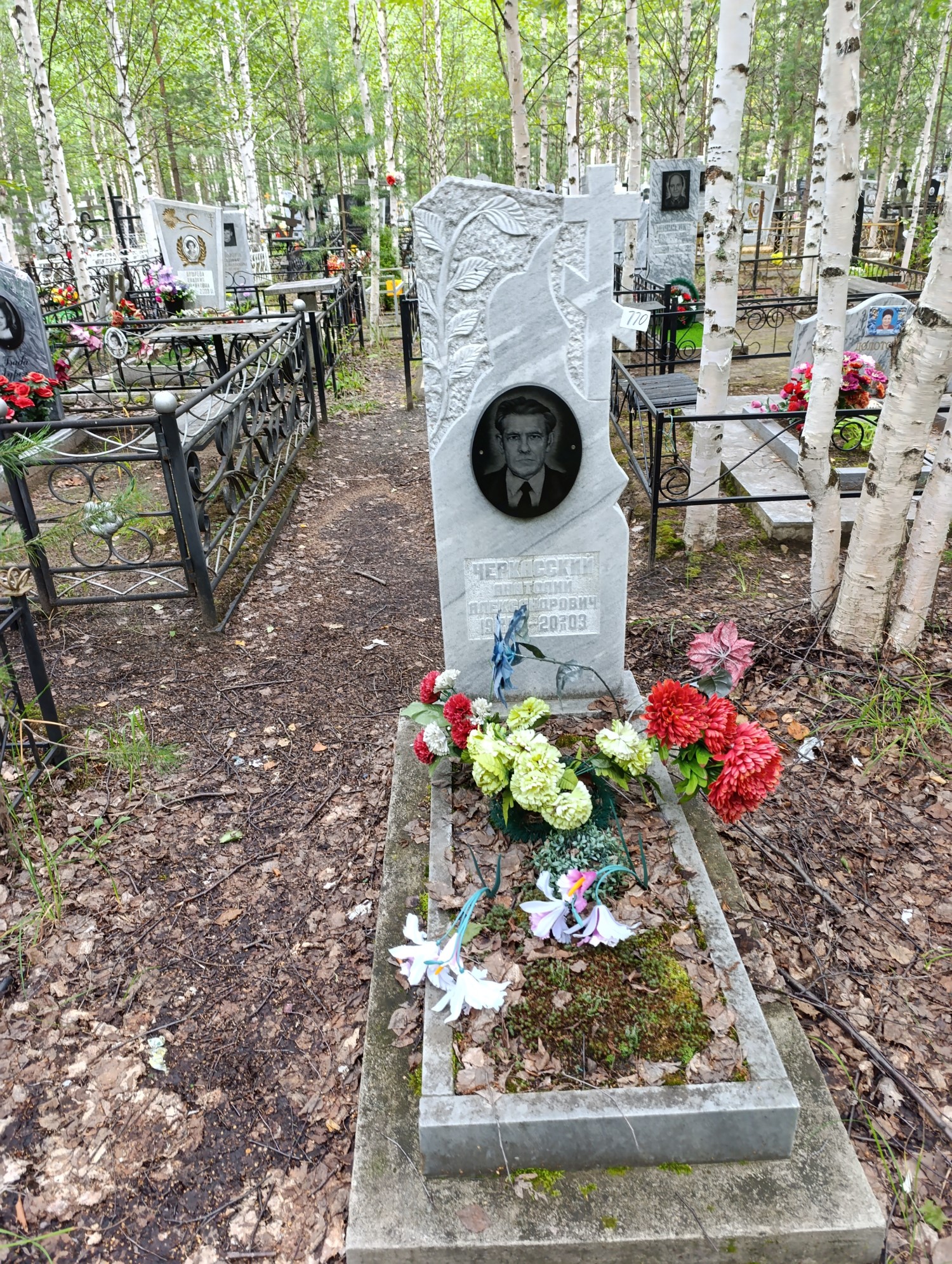 Черкасский Анатолий Александрович