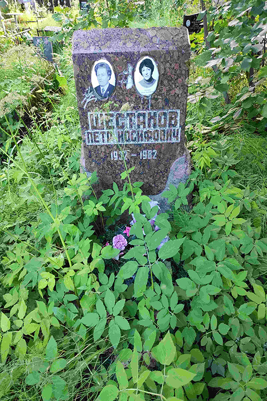 Шестаков Петр Иосифович