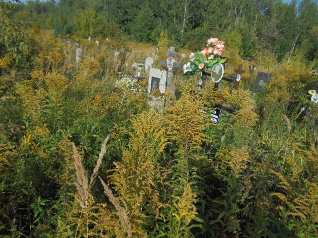 Шелудякова Александра Алексеевна