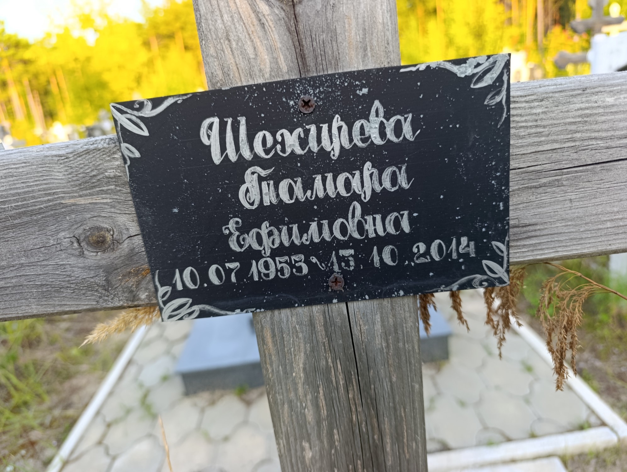 Шехирева Тамара Ефимовна