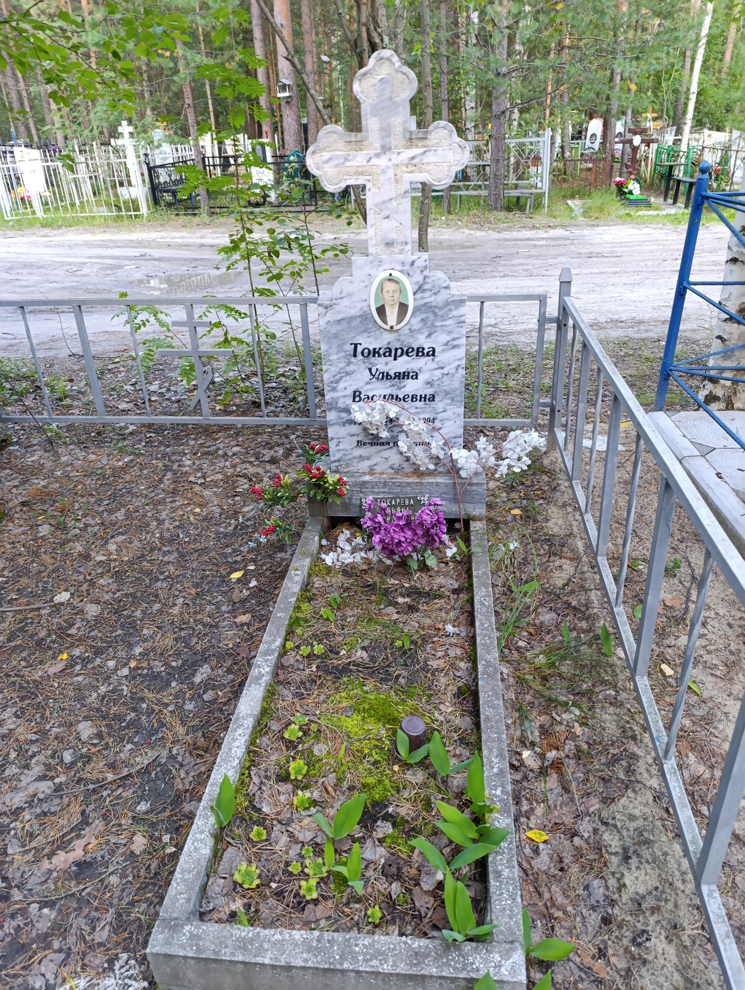 Токарева Ульяна Васильевна