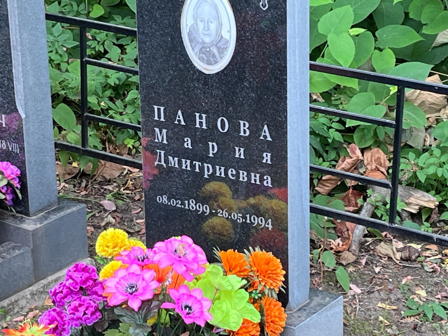 Панова