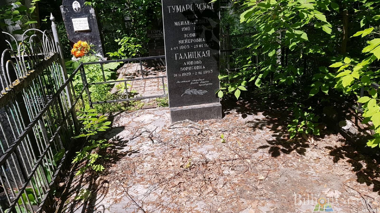 Тумаровская Эсфирь Мейеровна