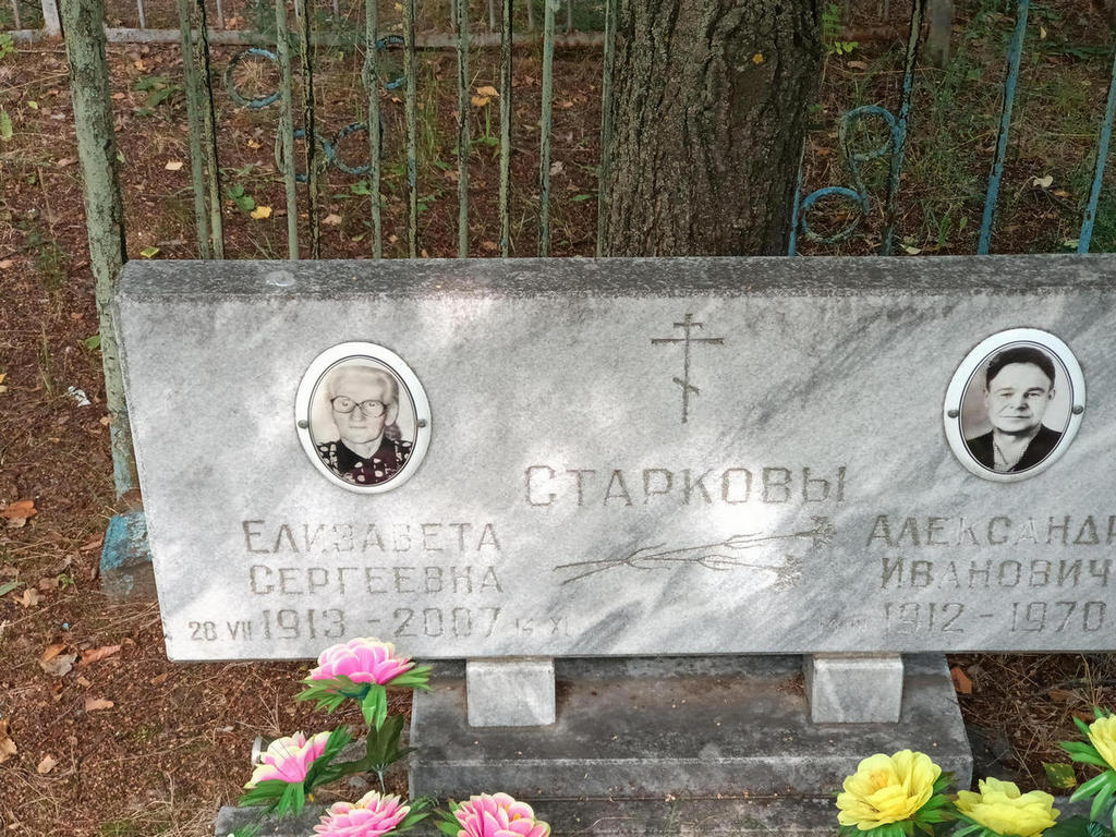 Старкова Елизавета Сергеевна