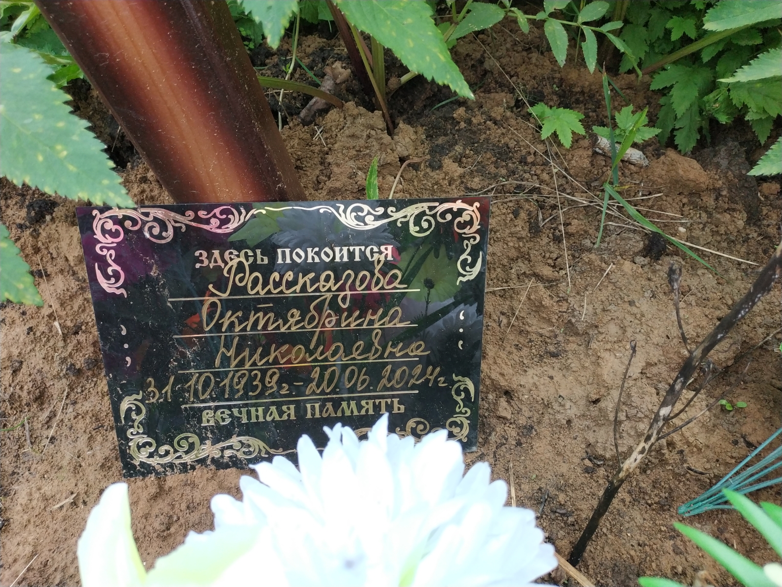 Рассказова Октябрина Николаевна