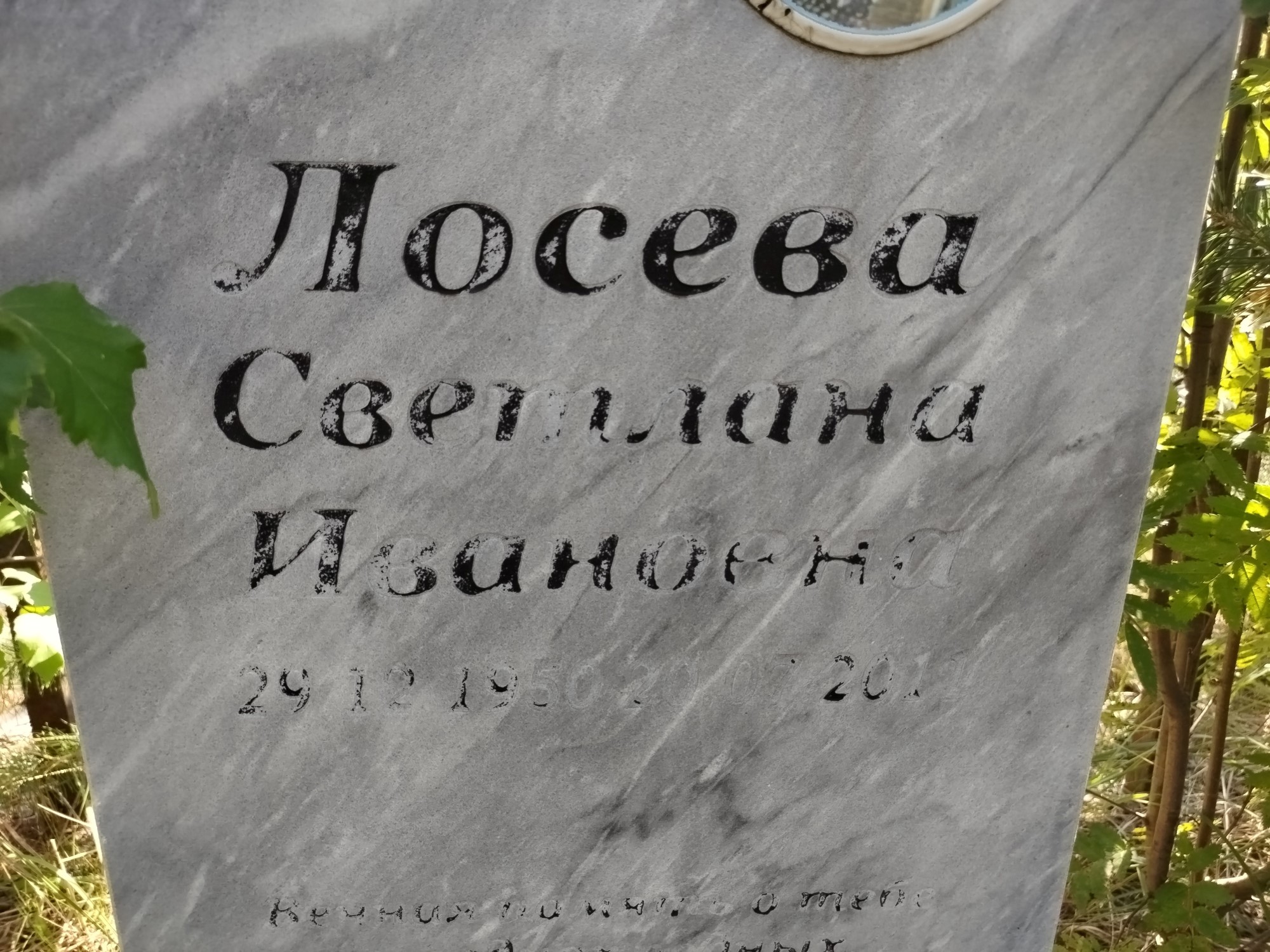 Лосева Светлана Ивановна