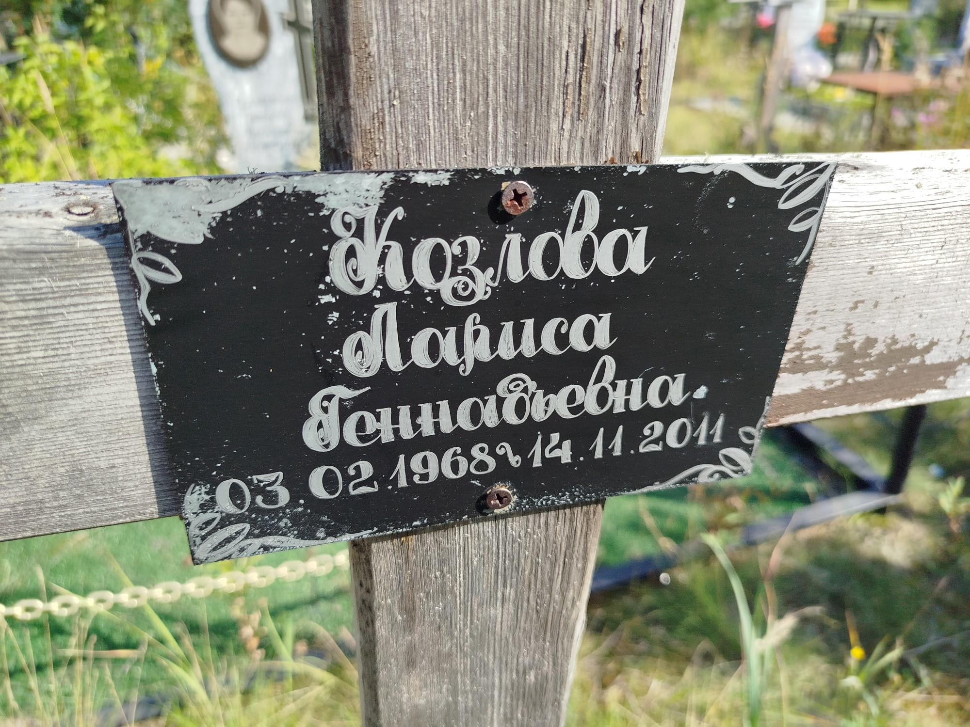 Козлова Лариса Геннадьевна