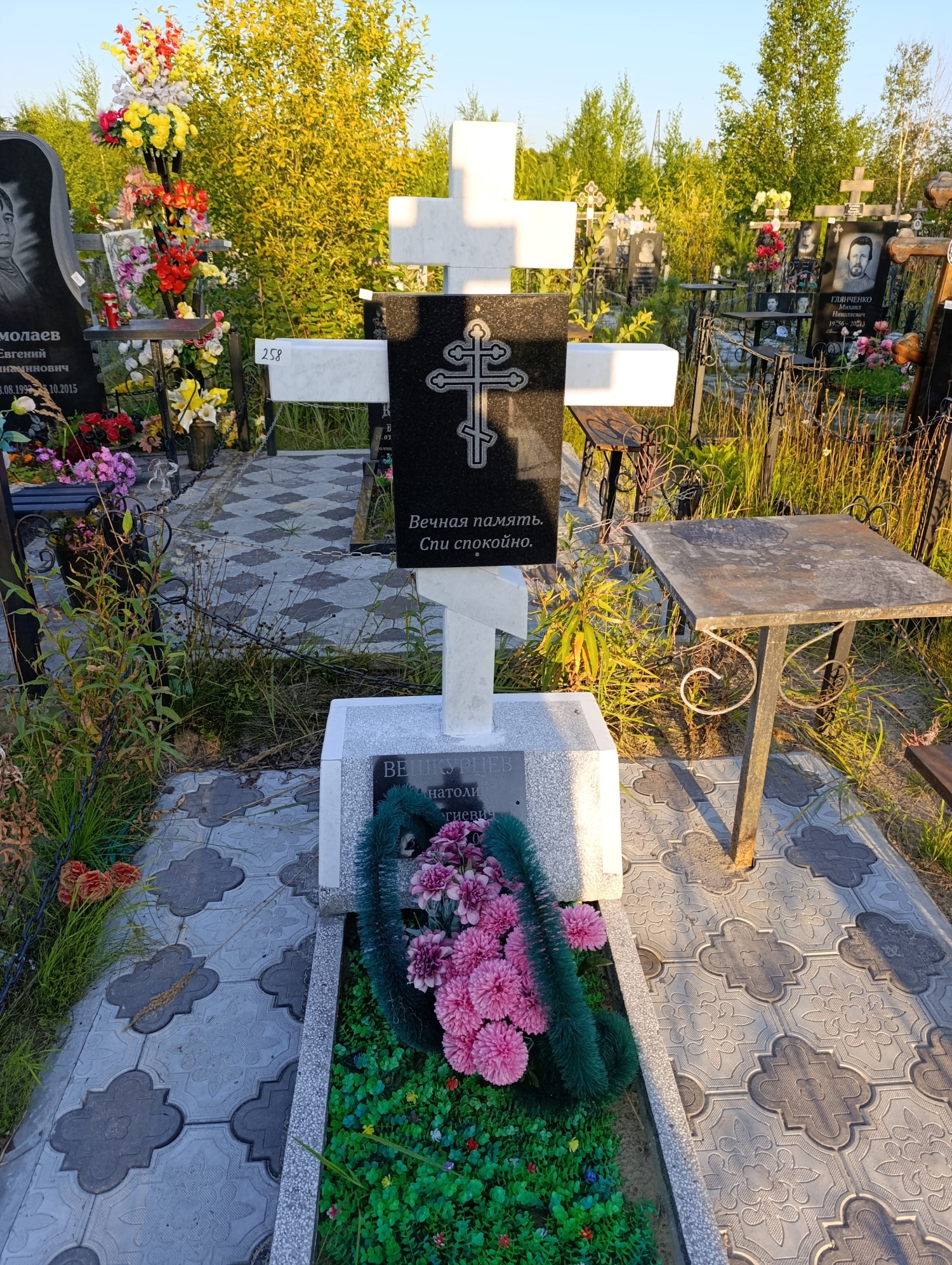 Вешкурцев Анатолий Георгиевич