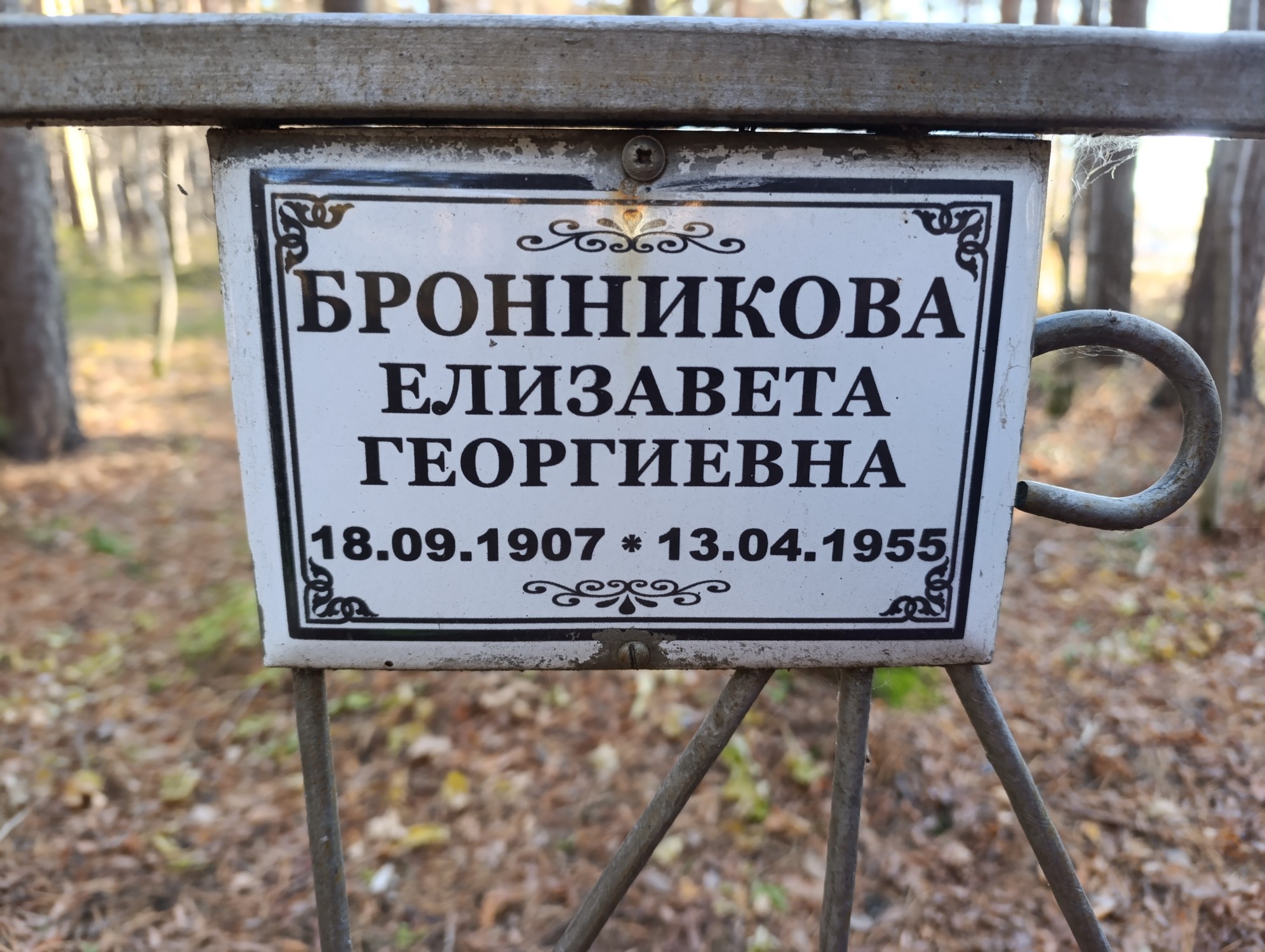 Бронникова Елизавета Георгиевна