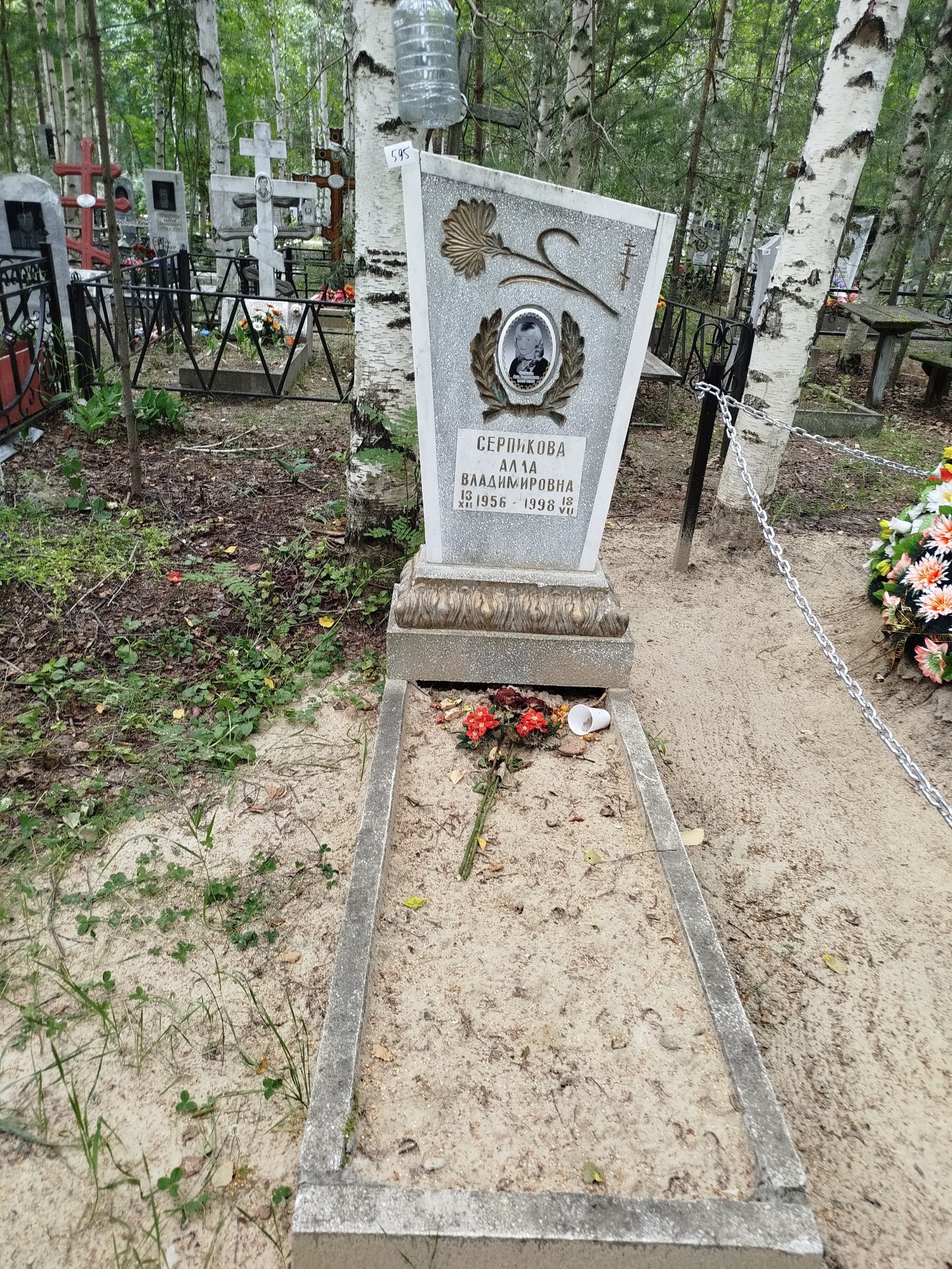 Серпикова Алла Владимировна