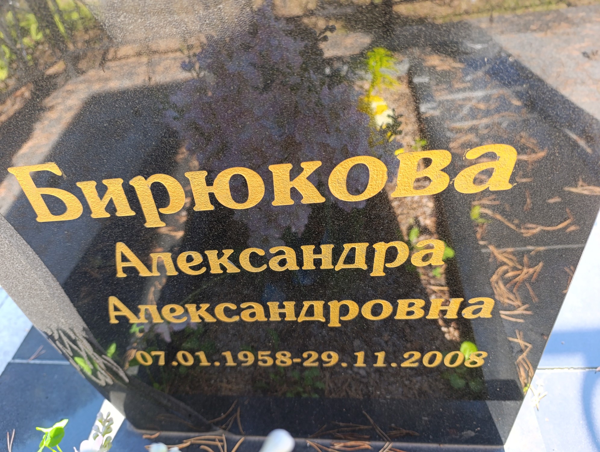 Бирюкова Александра Александровна