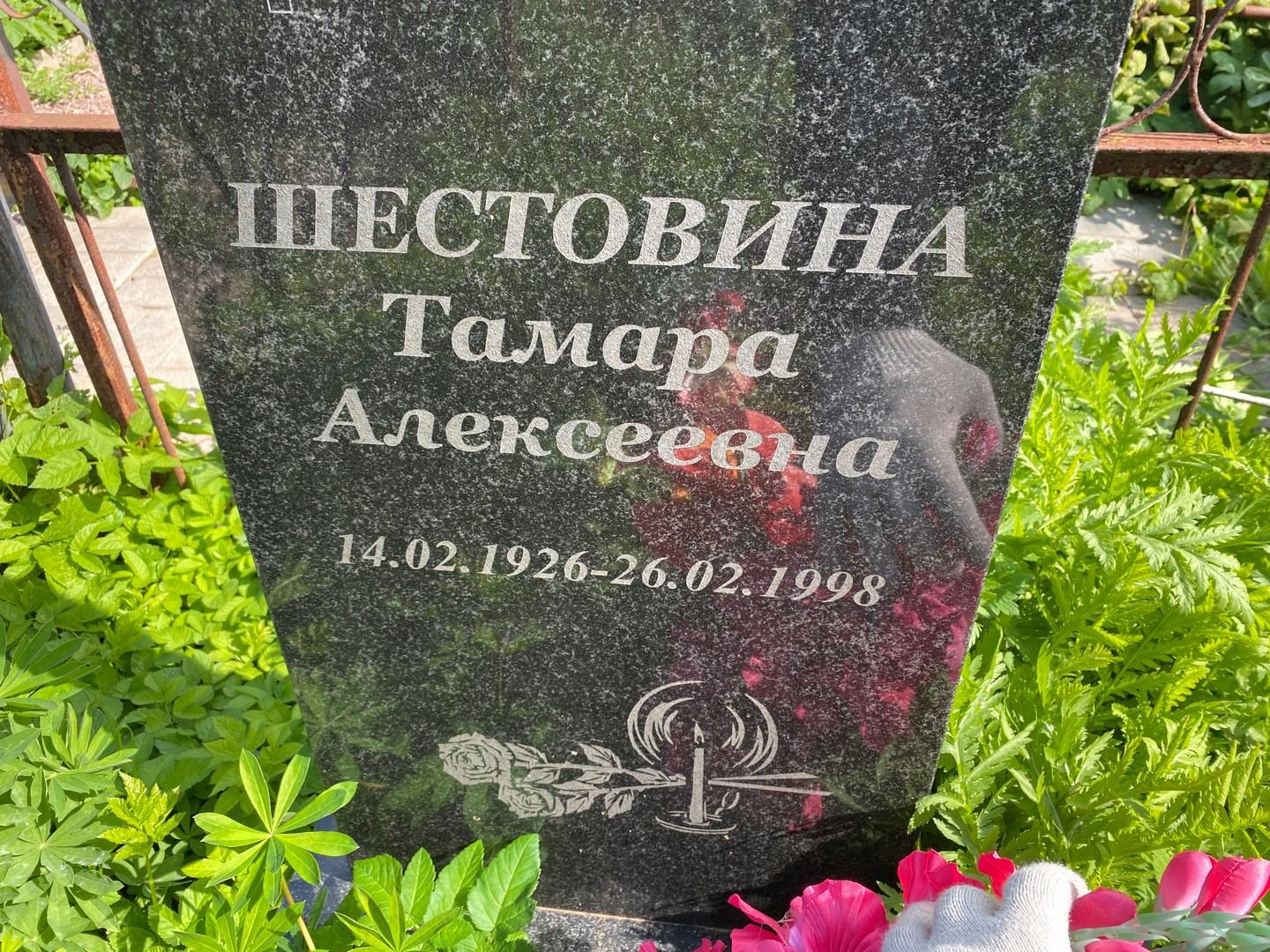 Шестовина