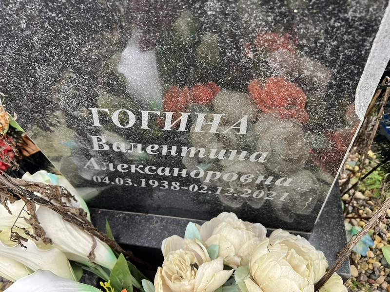 Гогина