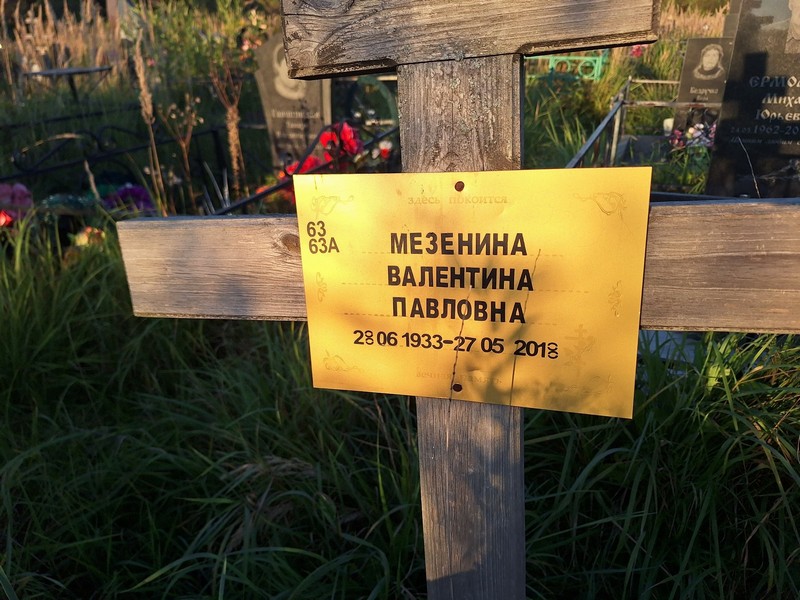 Мезенина