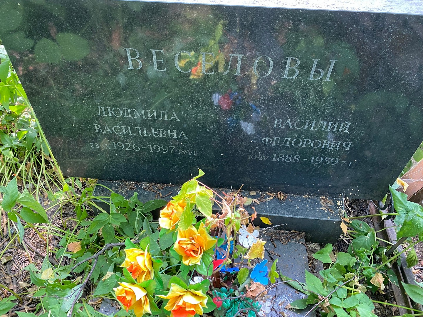Веселова