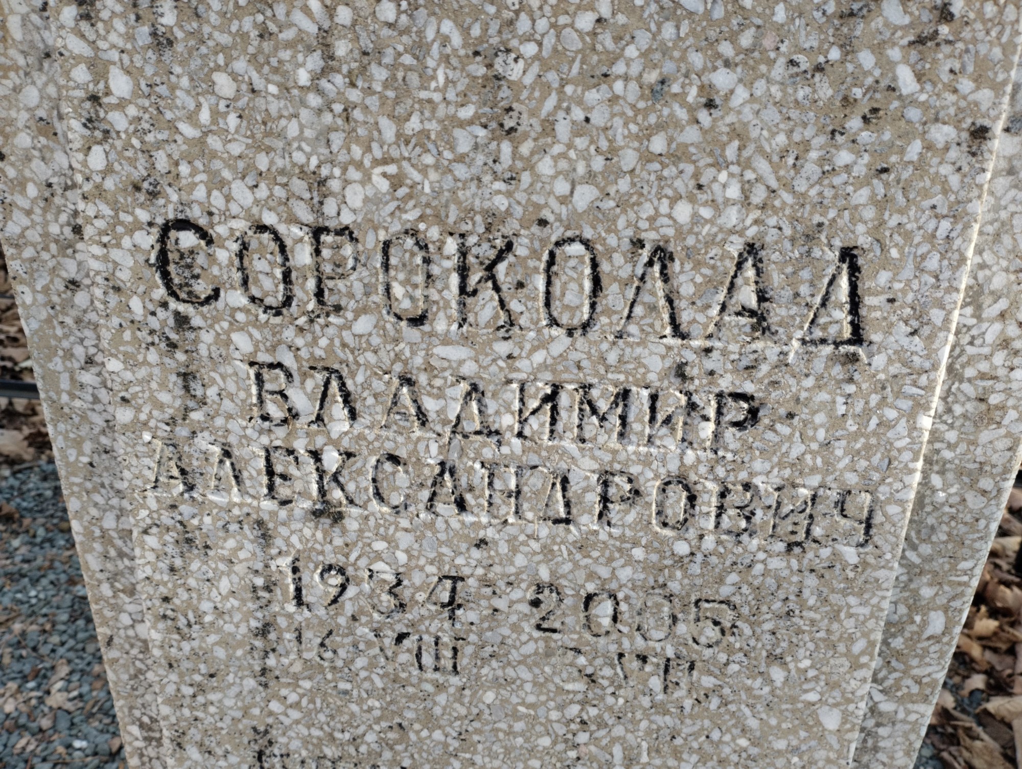 Сороколад Владимир Александрович