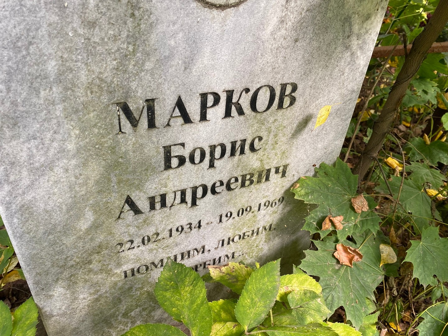 Марков