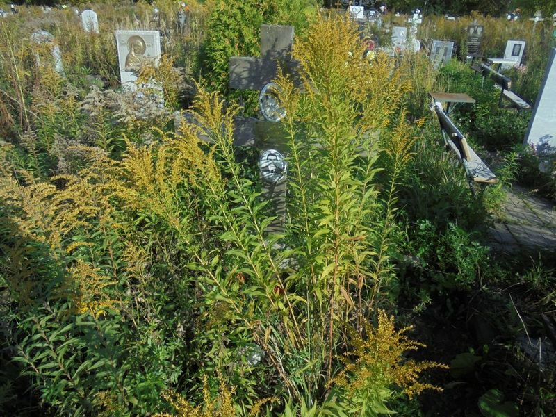 Лебедева Лира Константиновна